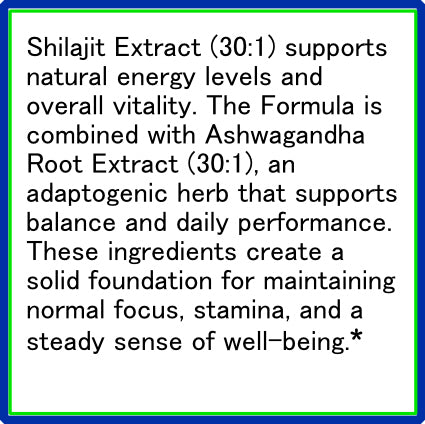 Shilajit Adaptogen Complex